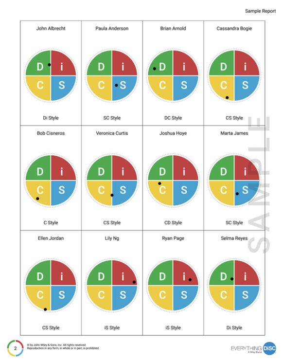 Everything DiSC® Team View
